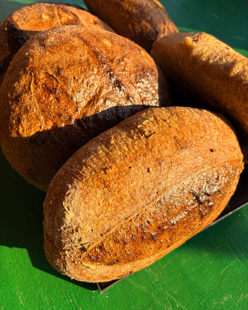 BREADS