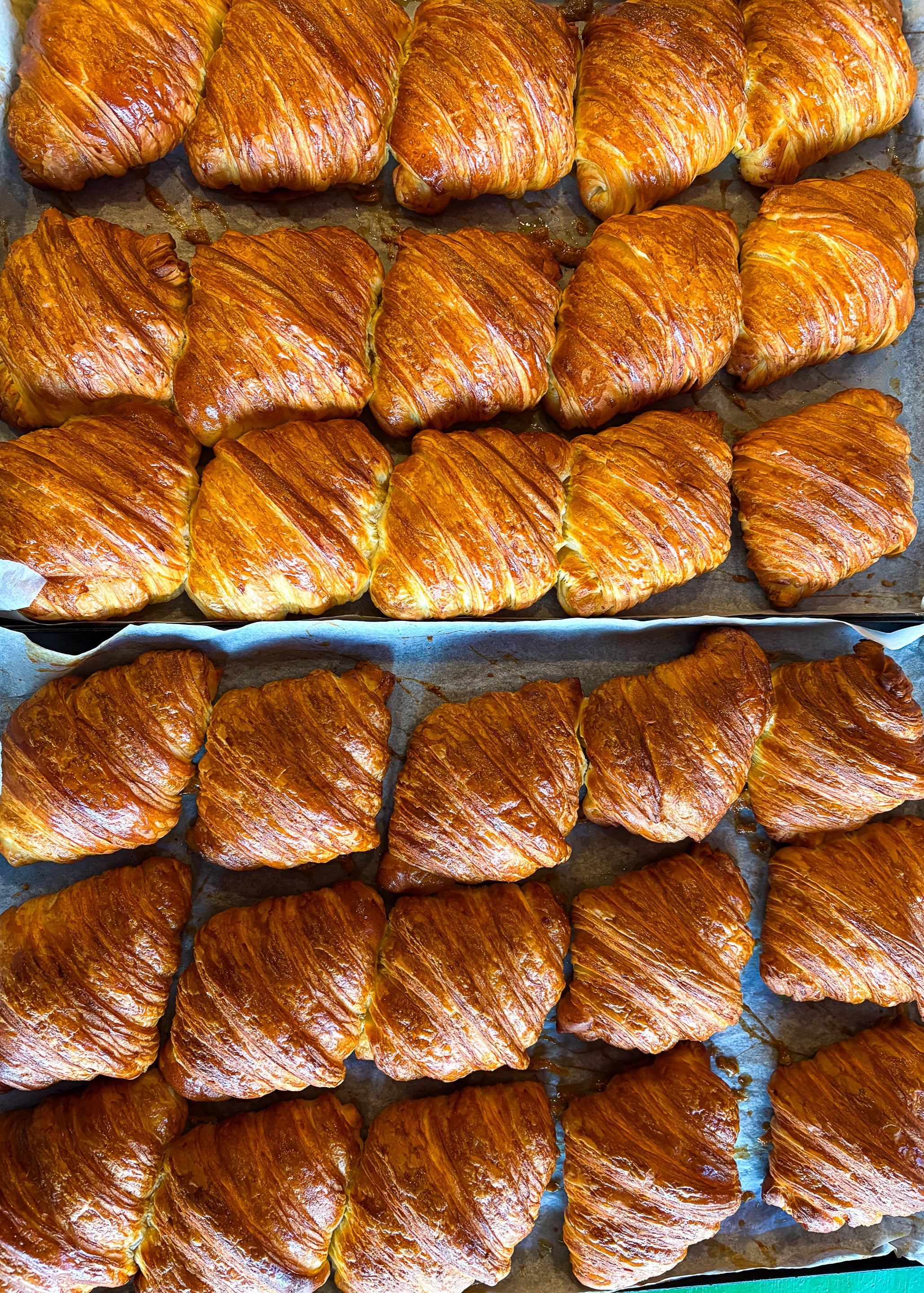 Plain Croissant