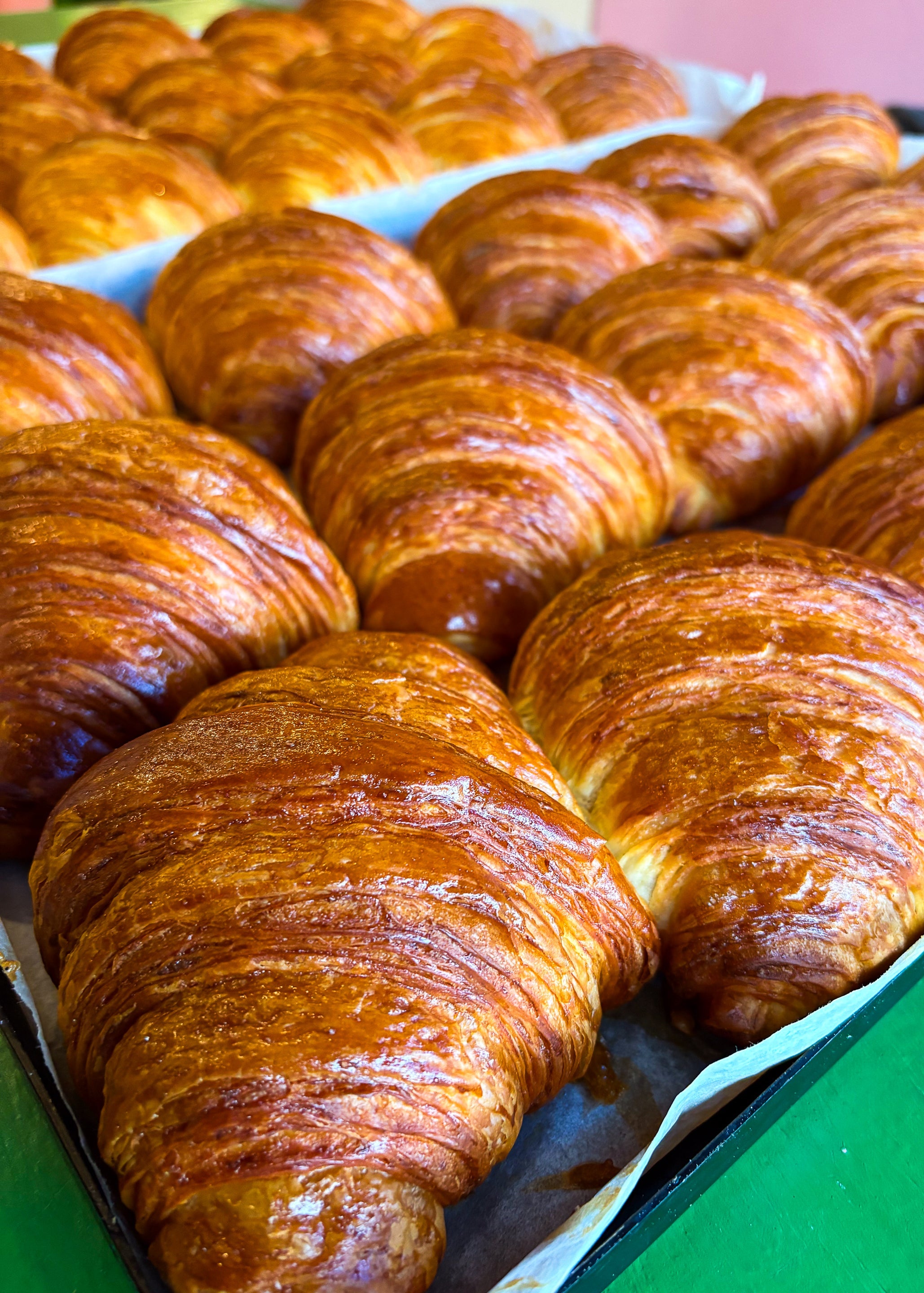 Plain Croissant
