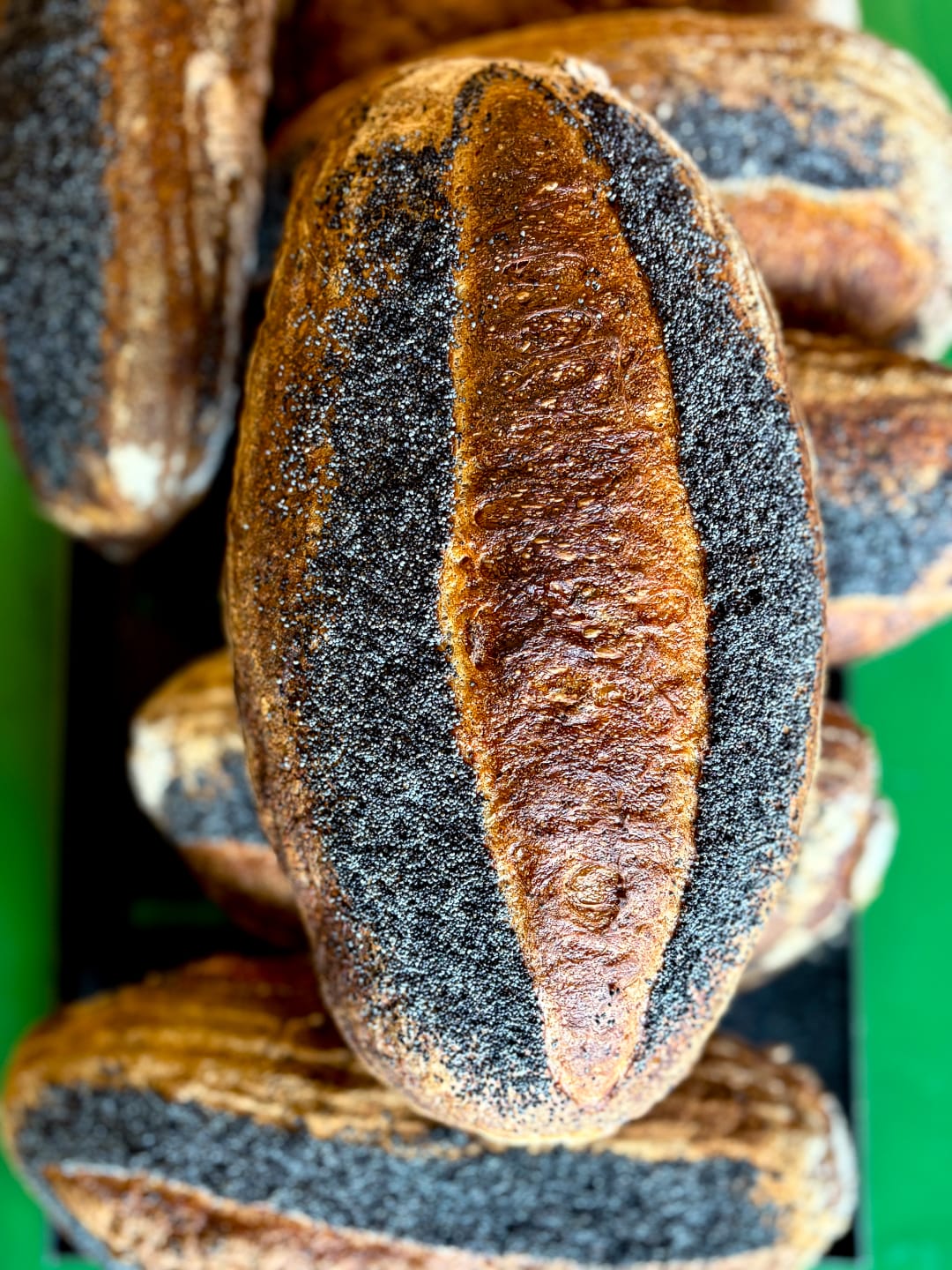 Potato Sourdough