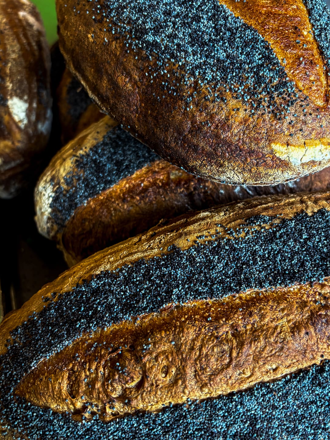Potato Sourdough