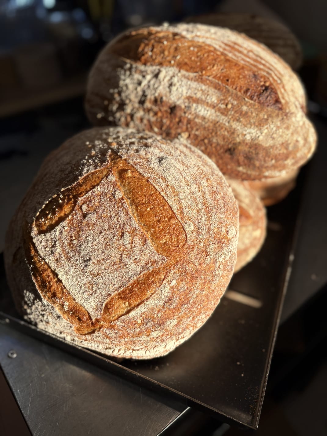Sourdough Bread