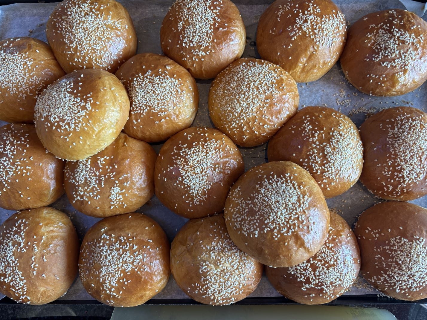Brioche Bun