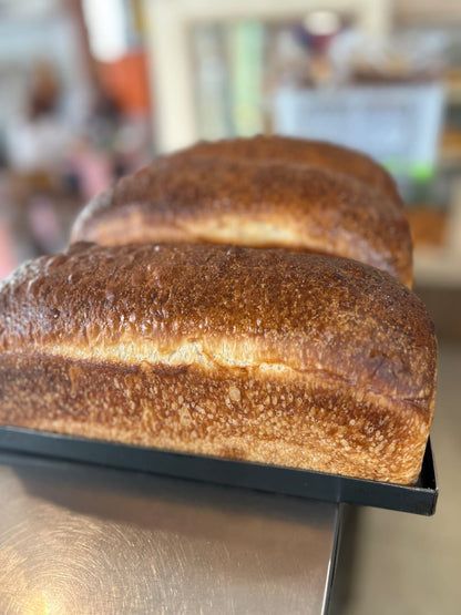 Sourdough Enriched
