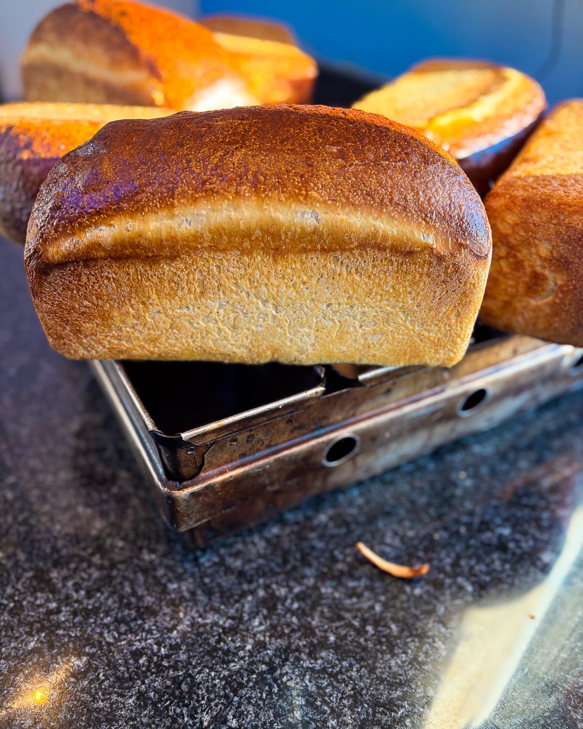 Sourdough Enriched
